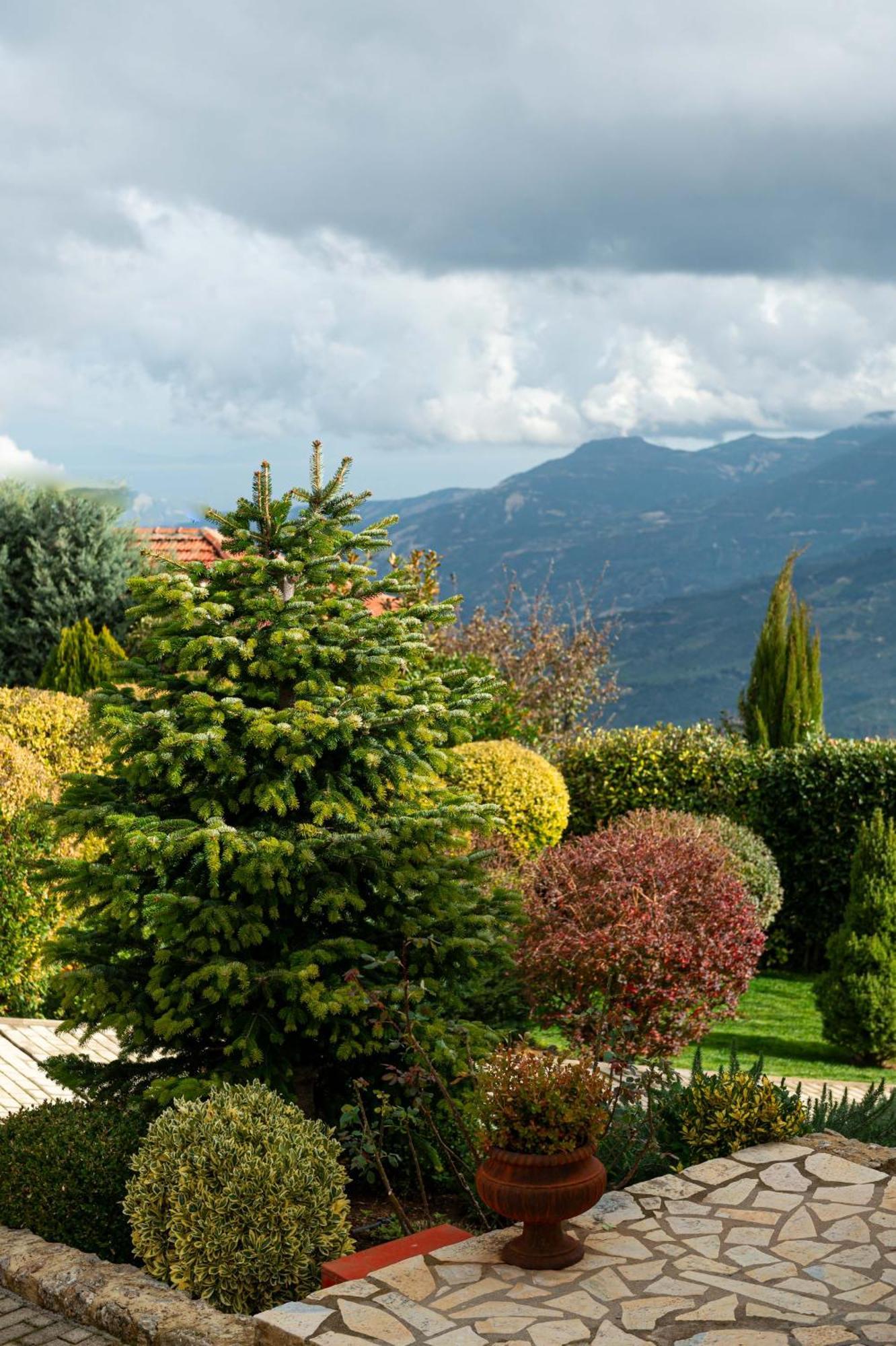 Anotopos Ano Trikala Exterior photo